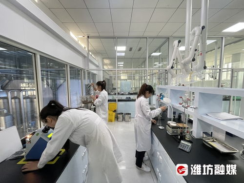搶風口 布賽道 濰坊諸城以技術開發為核心，加速生物制造產業發展