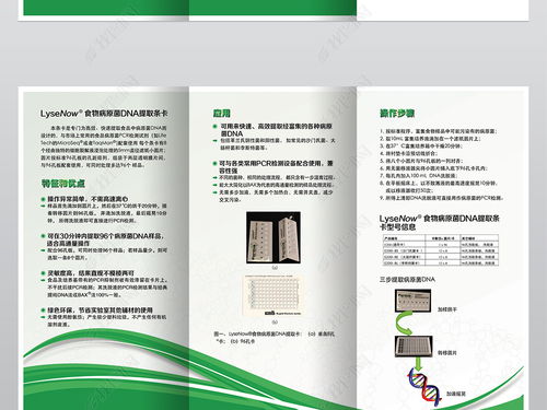 精品綠色能源生物工程科技公司三折頁設計圖片素材 高清PSD模板下載指南