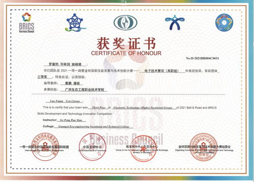 喜訊！我校代表隊在2021一帶一路暨金磚國家技能大賽電子技術賽項國內賽決賽中勇奪佳績